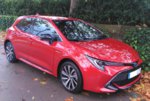 Corolla1.jpg