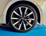 corolla-joansoy-6.jpg
