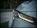 P6270728 v1.jpg
