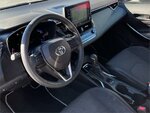 Corolla3.jpg