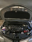 MOTOR.jpg