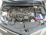 IMG_20230423_122525.jpg