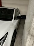 IMG_2423.jpeg