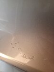 20230618_181829.jpg
