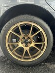 IMG_6952.jpeg