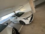 IMG_0558.jpeg