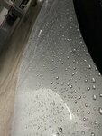 IMG_1255.jpeg