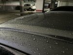IMG_1257.jpeg