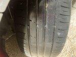 IMG_5020.jpeg