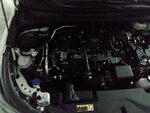 IMG_20231205_141554190.jpg