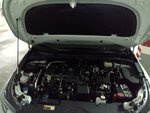 IMG_20231205_141548425.jpg