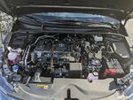 PXL_20240308_162419461.jpg