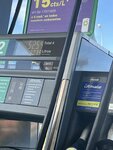 IMG_0365.jpeg