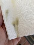 IMG_1745.jpeg