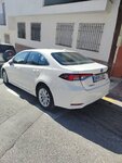 IMG_20240514_180730.jpg