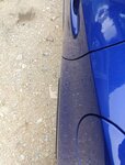 IMG_20240619_151427.jpg