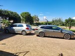 IMG_20240714_170221.jpg