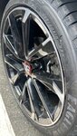 IMG_7633.jpeg