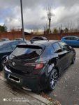 corolla6.jpg