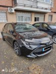 corolla7.jpg