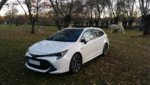 Toyota C TS.JPG