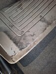 20241130_075702.jpg
