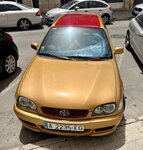 IMG_1562.jpeg