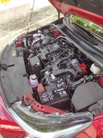 IMG_20250513_190052.jpg