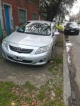 corolla2.jpg