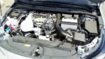 IMG_20200814_120046.jpg