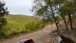 20200901_170716.jpg