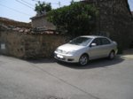 corolla2.jpg