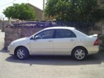 corolla3.jpg