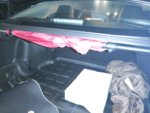 IMG_20201228_195628.jpg
