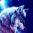 xX_Wolf70_Xx